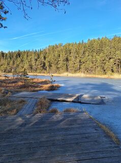 Fotografia z Dagmar Hofer na trase