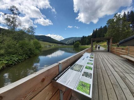 Moorlehrpfad_Teichalm_Oststeiermark