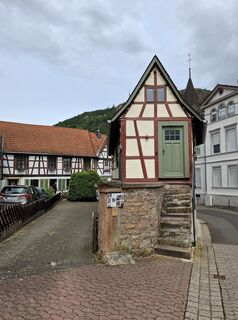 Foto von nordbergschnecke entlang der Tour