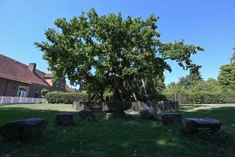Femeiche
