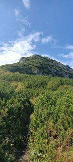 Foto von ketup entlang der Tour