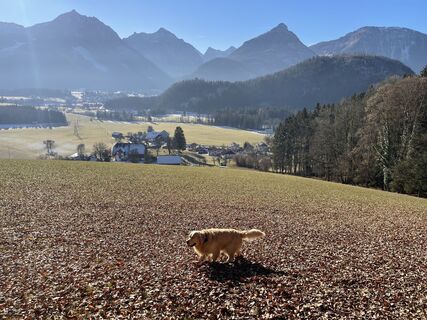 Fotografie z Karl Hohenwarter na trase