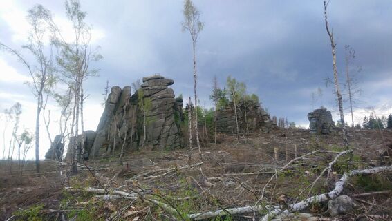 Foto von Betzenbergfex entlang der Tour