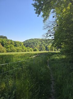 Foto von Michel Kennel entlang der Tour