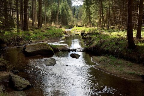 Zwettl-Fluss