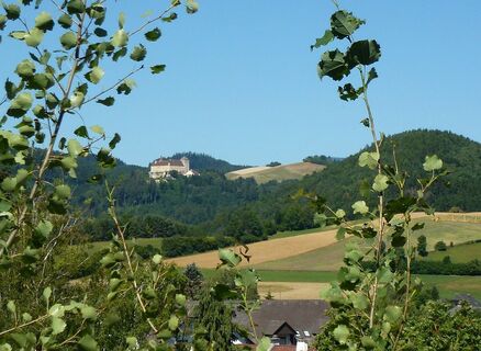 Blick aufs Schloss Krumbach
