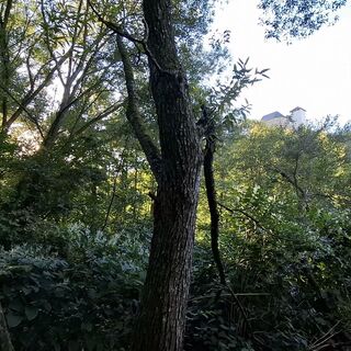 Fotografija s spletne strani Anita na poti