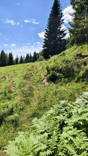 Foto von AnnJu entlang der Tour