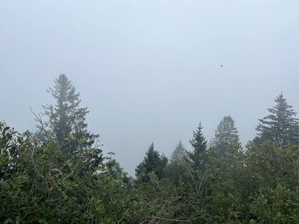 Foto von Anna Lenart entlang der Tour