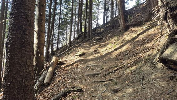 Foto de Szuki76 a lo largo del recorrido