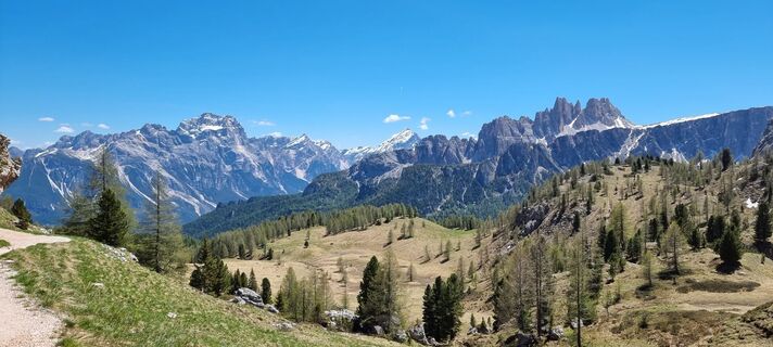 Fotografia z Csaba Ernyei na trase