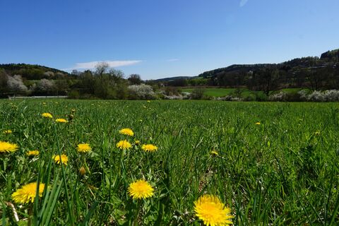 Biererlebnisweg Velburg