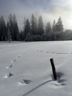 Foto von tiefblauesmeer entlang der Tour