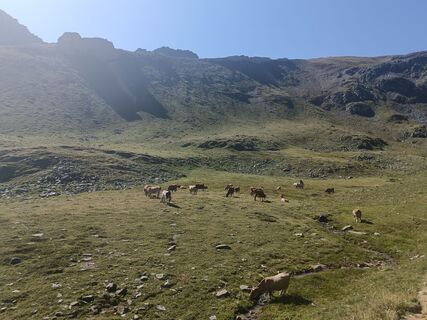 Foto von Marie Cartéron entlang der Tour