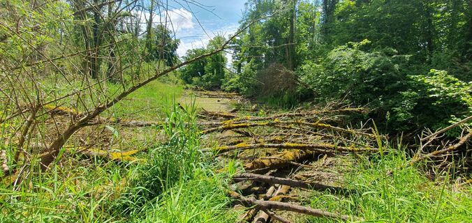 Fotografia z Denis Mazza na trase