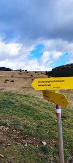 Foto von Hakuna Matata entlang der Tour