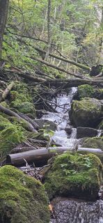 Fotografia z lubos porada na trase