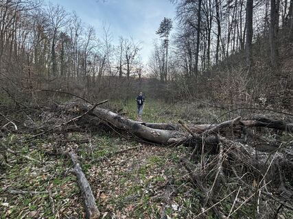 Foto von Reti Alicia entlang der Tour