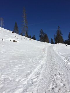 Foto von Fábi entlang der Tour