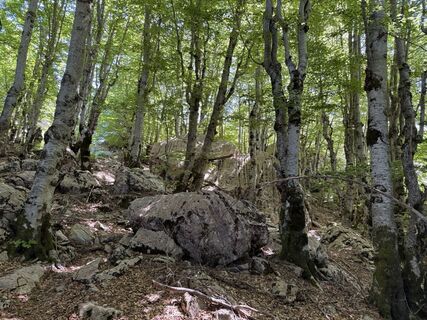 Photo de Hanni Krieger le long du parcours