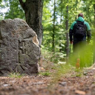 Grenzstein am Leininger Klosterweg