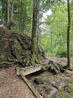 Foto von Gipfel Göre entlang der Tour