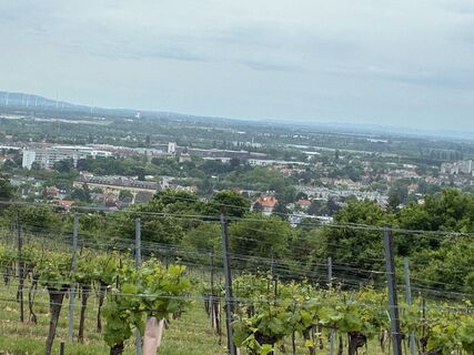 Foto von glanzis entlang der Tour