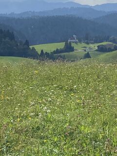 Fotografie z Gianberto Zilli na trase