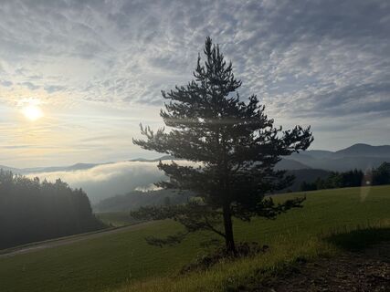 Foto von Gerti Glettler entlang der Tour