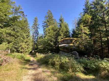 Foto van KarinOlaf langs de tour