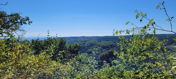 Foto von Nicky entlang der Tour