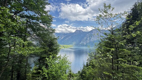 Fotografia z Manfred Karl na trase