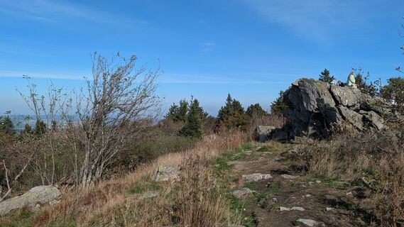 Fotografija s spletne strani twuest na poti