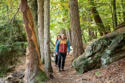 An urigen Felsen im Lambsbachtal vorbei
