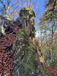 Photo de brosensteiner le long du parcours