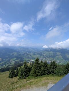 Foto von Mogli entlang der Tour