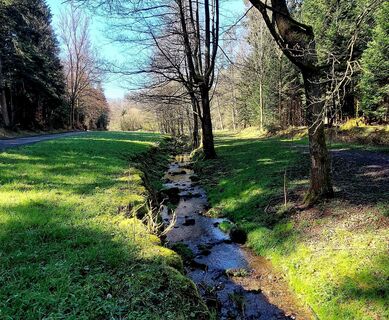 Eulenbachtal