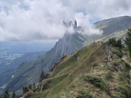 Photo de alinradu le long du parcours