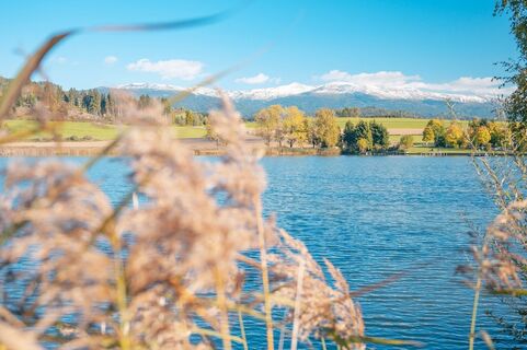 Furtner Teich