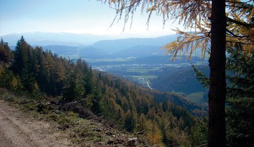 Fahrt von der Hohen Rötz