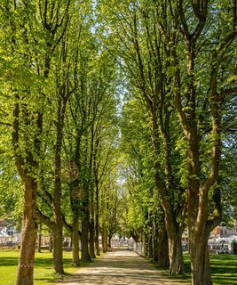 Kurpark Bad Neuenahr-Ahrweiler