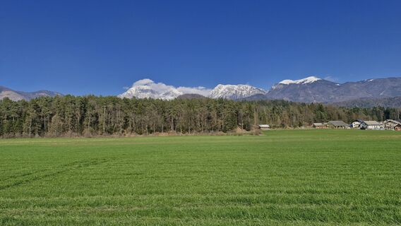 Zdjęcie z Štefan Jenko wzdłuż trasy