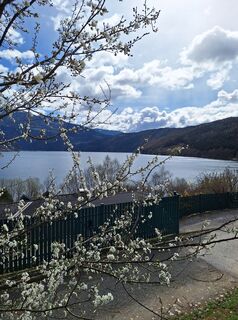 Fotografia z Dagmar Hofer na trase