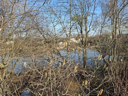 Foto von Stefan Schuhmann entlang der Tour