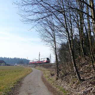 Die Bahn ist entlang der Wallersee-Westseite ein verlässlicher Wegbegleiter.
