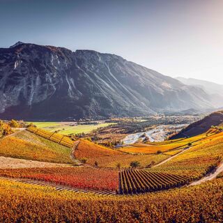 Weinberge zwischen Leuk und Varen