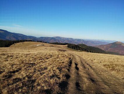 Fotografia z Tasurinki Mitote na trase