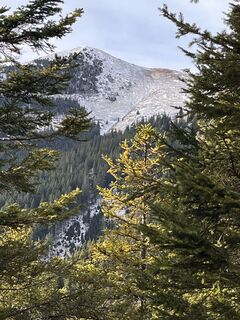 Fotografia z coochi na trase