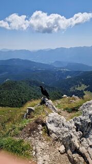 Foto von Marko Černivec entlang der Tour