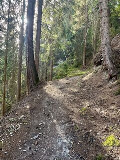 Foto von Nicole Hundertmark entlang der Tour